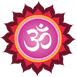 Our Spiritual and Religious Leader Acharyaji Pandit Krishna Kumar Panday